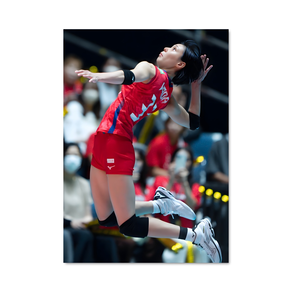 Poster Volleyball de league internationaux